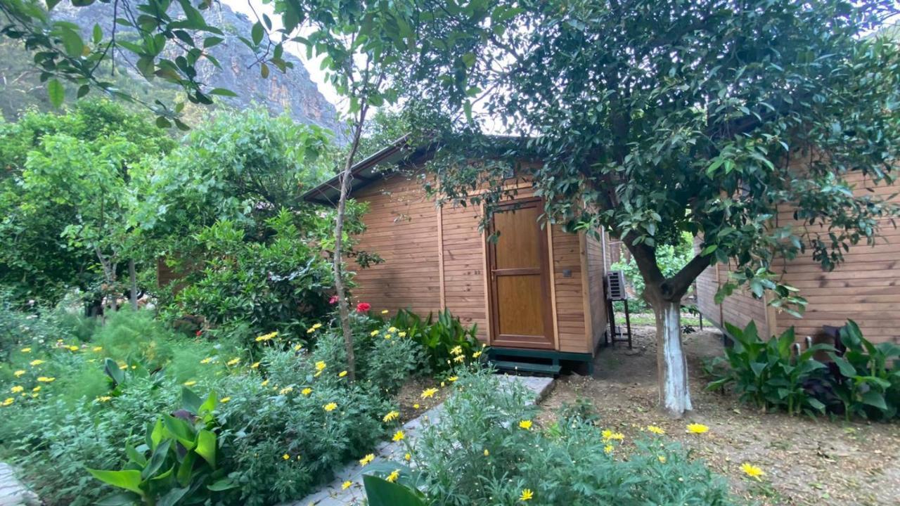 Mercan Pension Olympos Ngoại thất bức ảnh