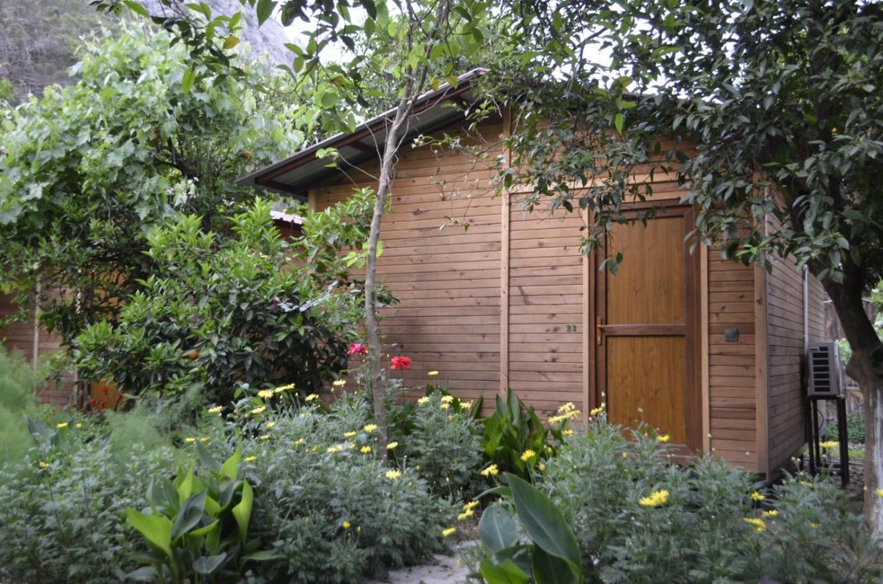 Mercan Pension Olympos Ngoại thất bức ảnh