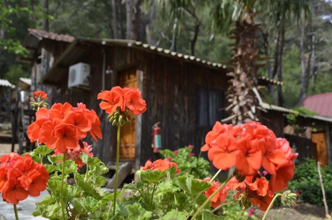 Mercan Pension Olympos Ngoại thất bức ảnh