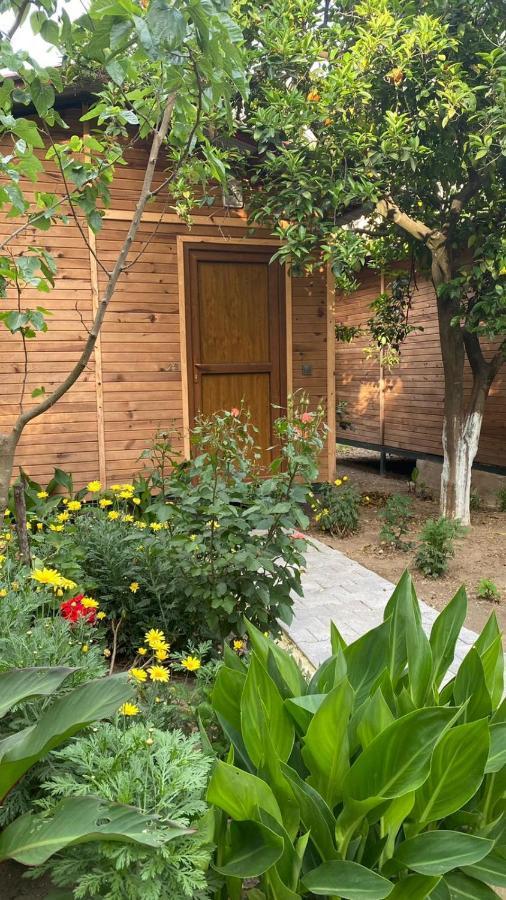 Mercan Pension Olympos Ngoại thất bức ảnh