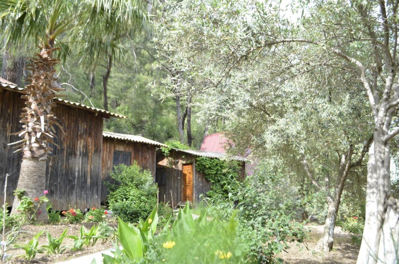 Mercan Pension Olympos Ngoại thất bức ảnh