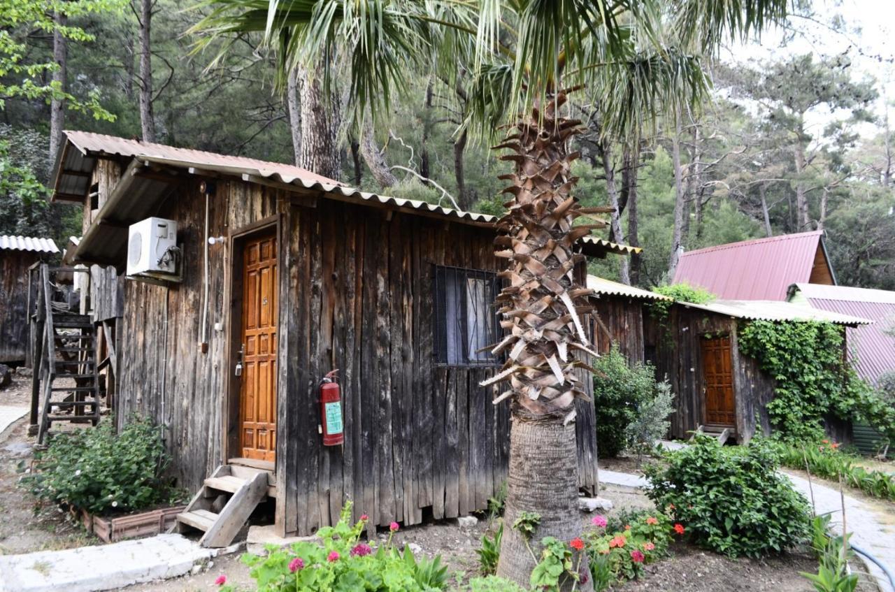 Mercan Pension Olympos Ngoại thất bức ảnh