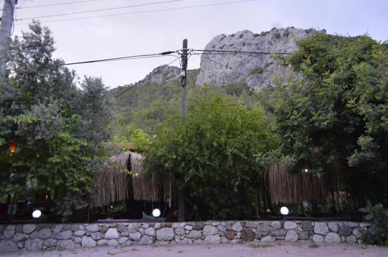 Mercan Pension Olympos Ngoại thất bức ảnh