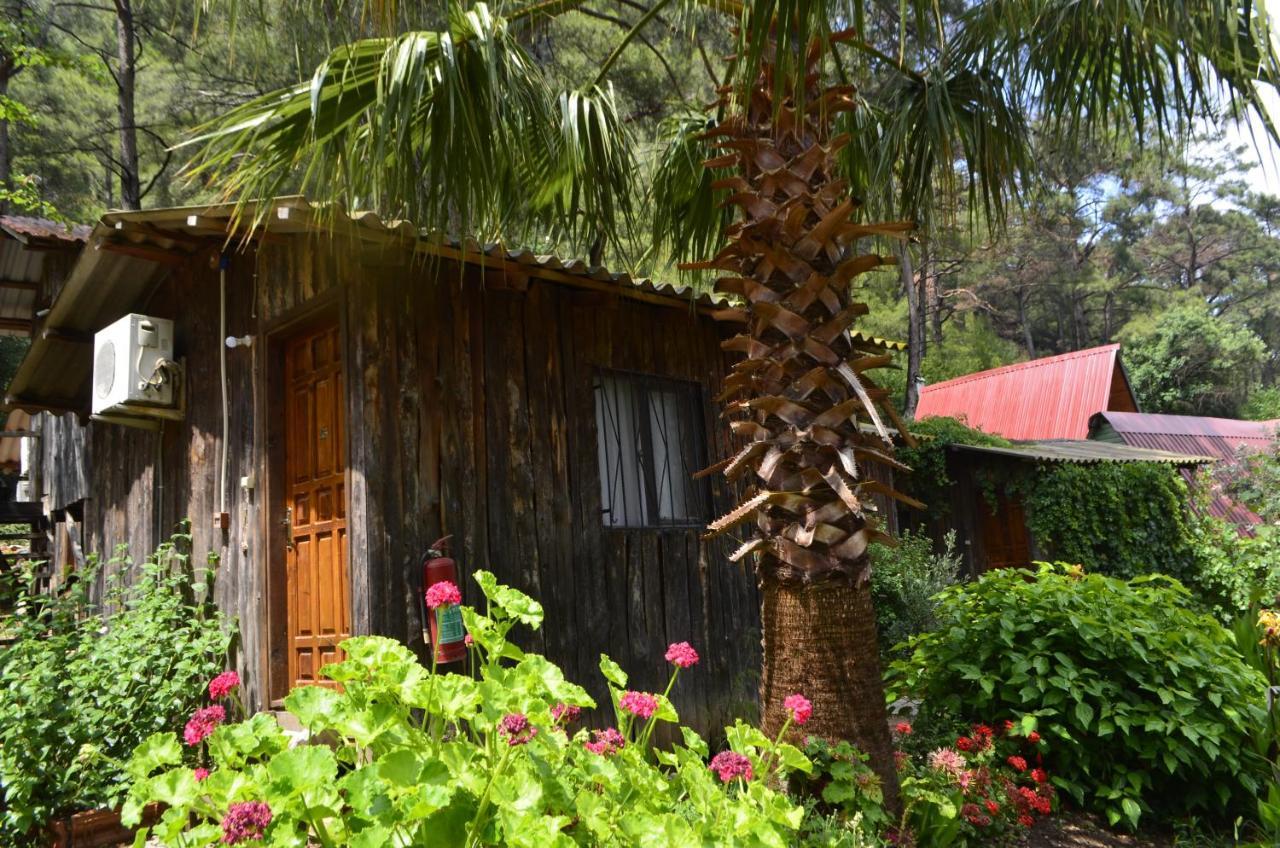 Mercan Pension Olympos Ngoại thất bức ảnh
