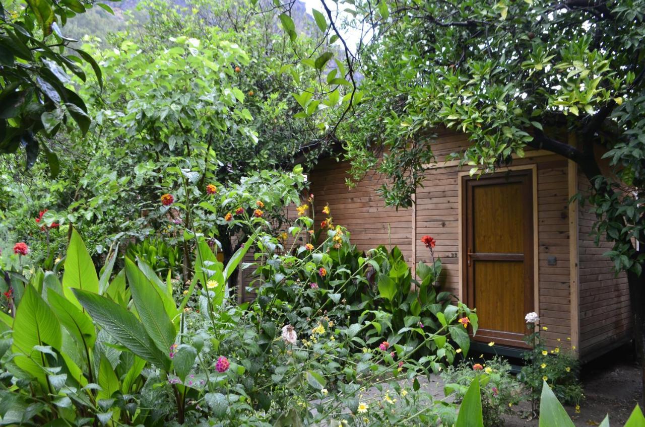 Mercan Pension Olympos Ngoại thất bức ảnh
