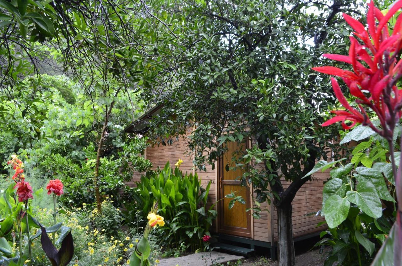 Mercan Pension Olympos Ngoại thất bức ảnh