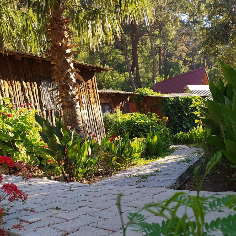 Mercan Pension Olympos Ngoại thất bức ảnh