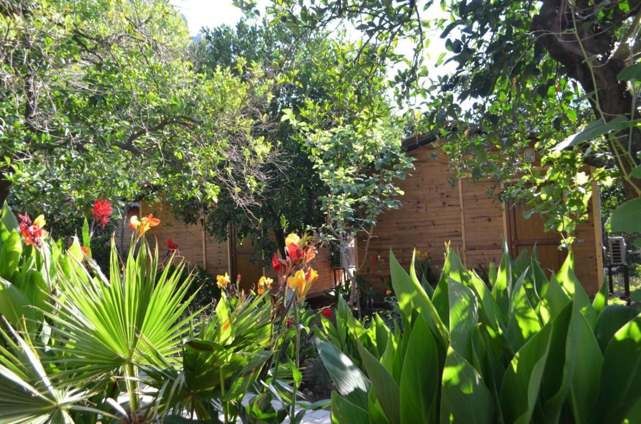 Mercan Pension Olympos Ngoại thất bức ảnh