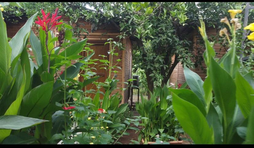 Mercan Pension Olympos Ngoại thất bức ảnh